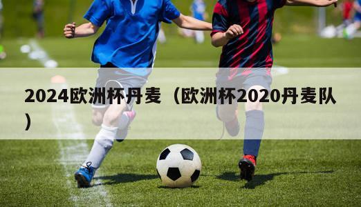 2024欧洲杯丹麦（欧洲杯2020丹麦队）