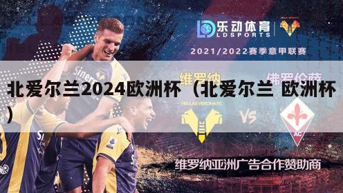 北爱尔兰2024欧洲杯（北爱尔兰 欧洲杯）