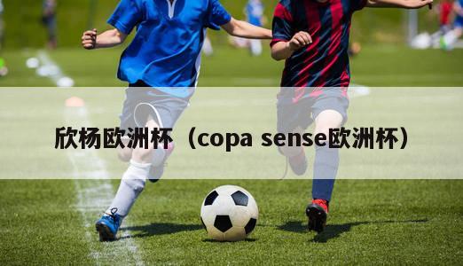 欣杨欧洲杯（copa sense欧洲杯）