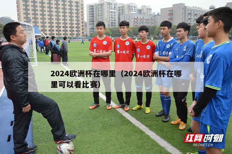 2024欧洲杯在哪里（2024欧洲杯在哪里可以看比赛）