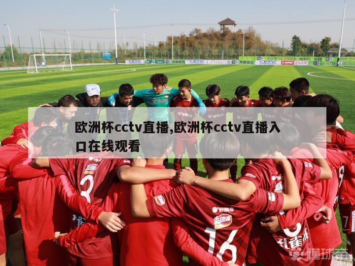 欧洲杯cctv直播,欧洲杯cctv直播入口在线观看