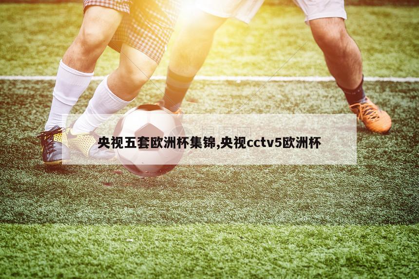 央视五套欧洲杯集锦,央视cctv5欧洲杯