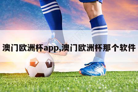 澳门欧洲杯app,澳门欧洲杯那个软件