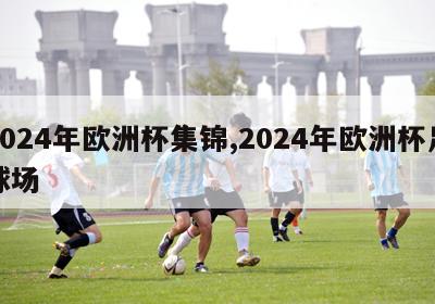 2024年欧洲杯集锦,2024年欧洲杯足球场